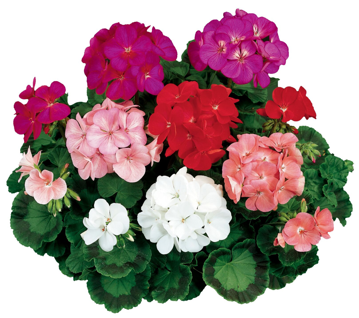 2000-mix-91943307.webp