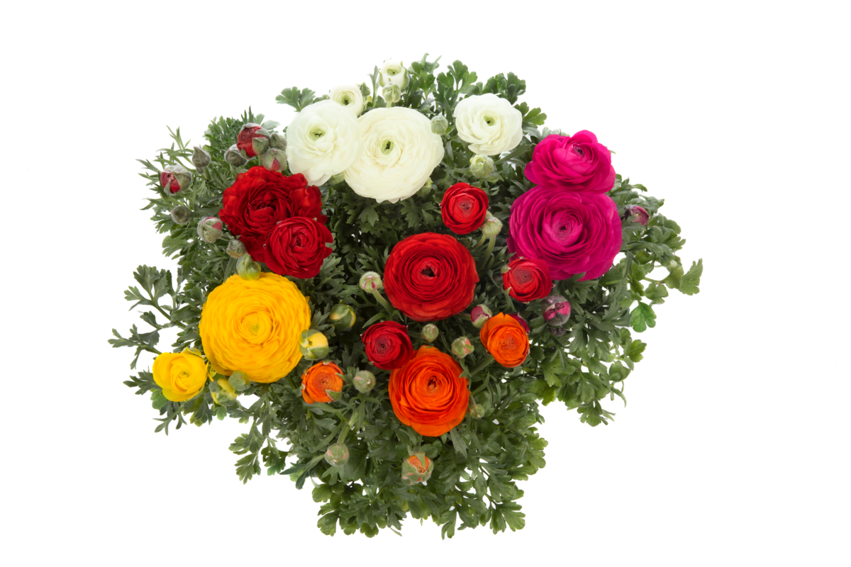 mix-1191571605.webp