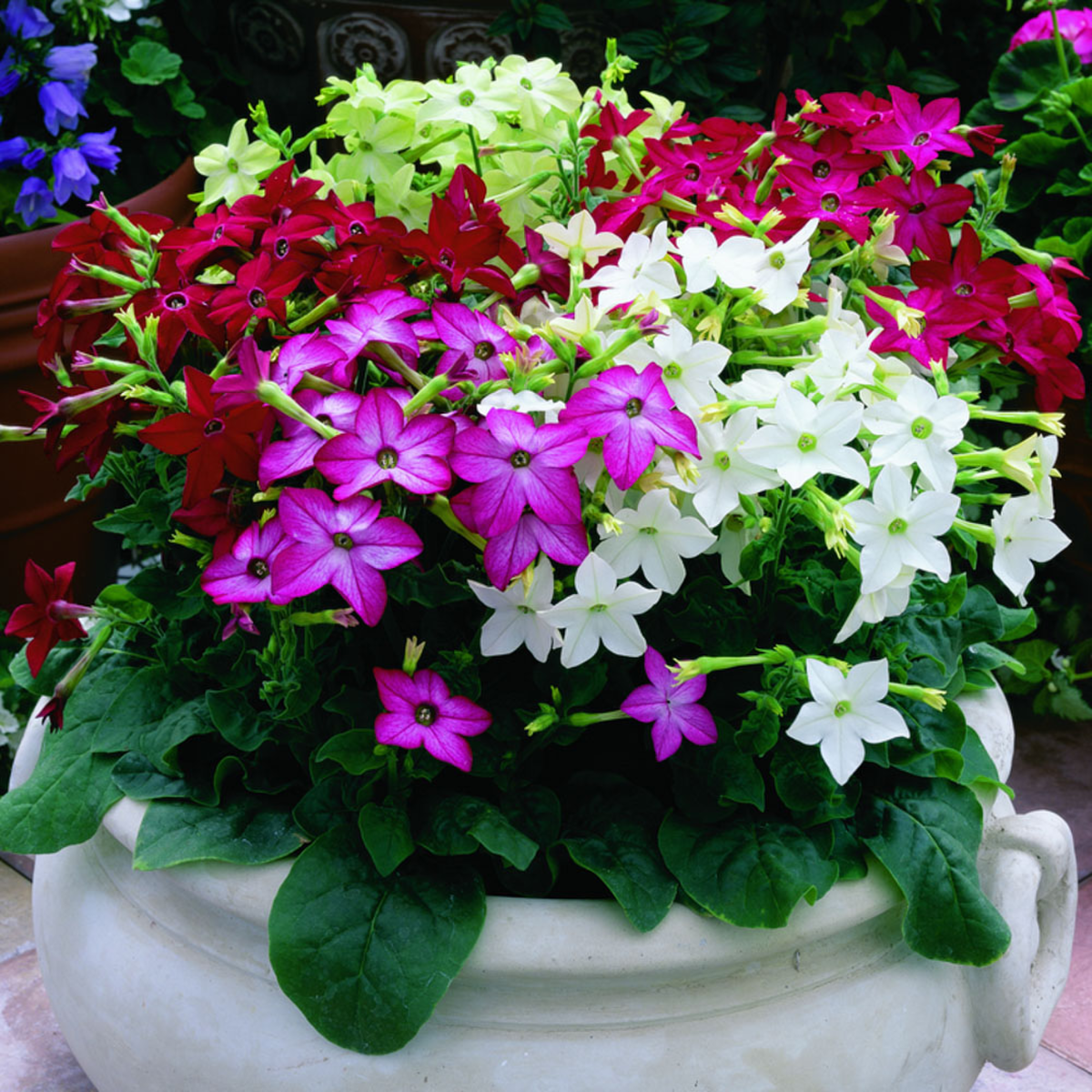 mix-192966667.webp