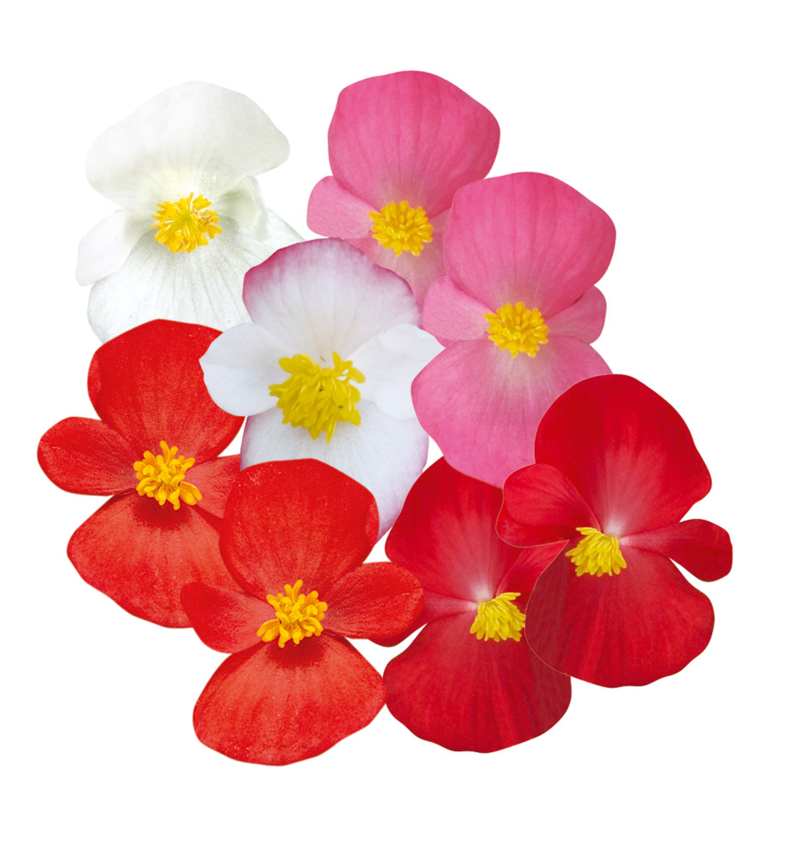 mix-3418095497.webp