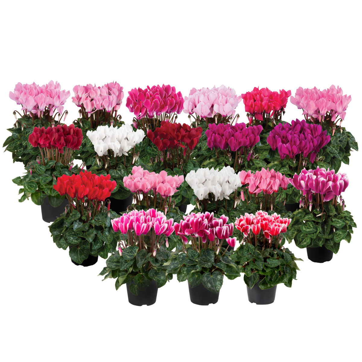 mix-retail-2443700806.webp