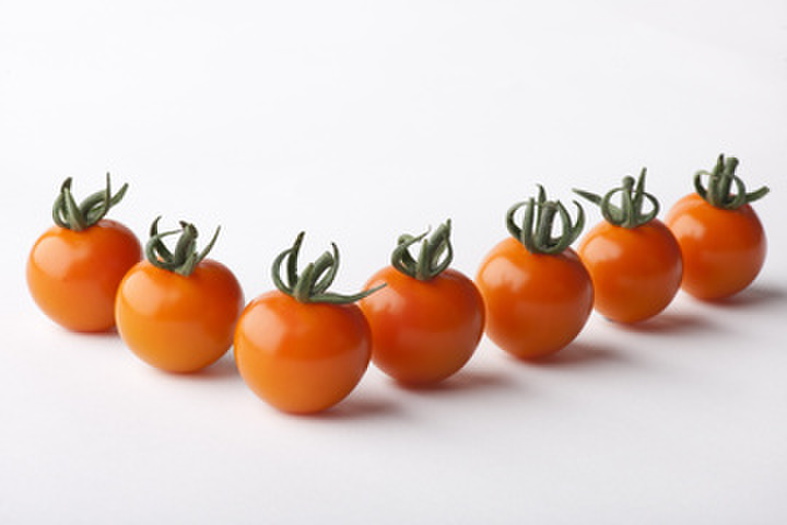 oranjestar-f1-3613881777.webp