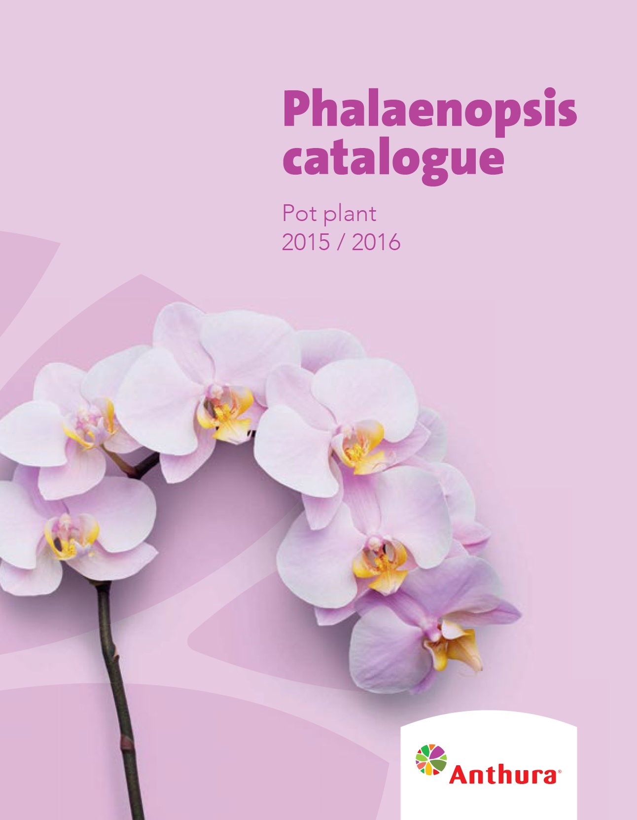 COPERTINA Catalogo Phalaenopsis 2015-16